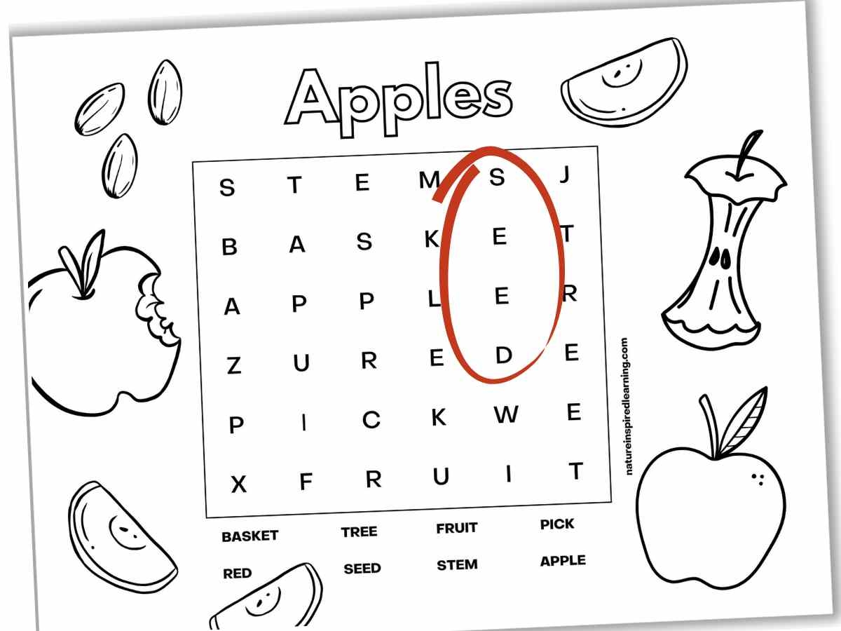 Apple Word Search Printable