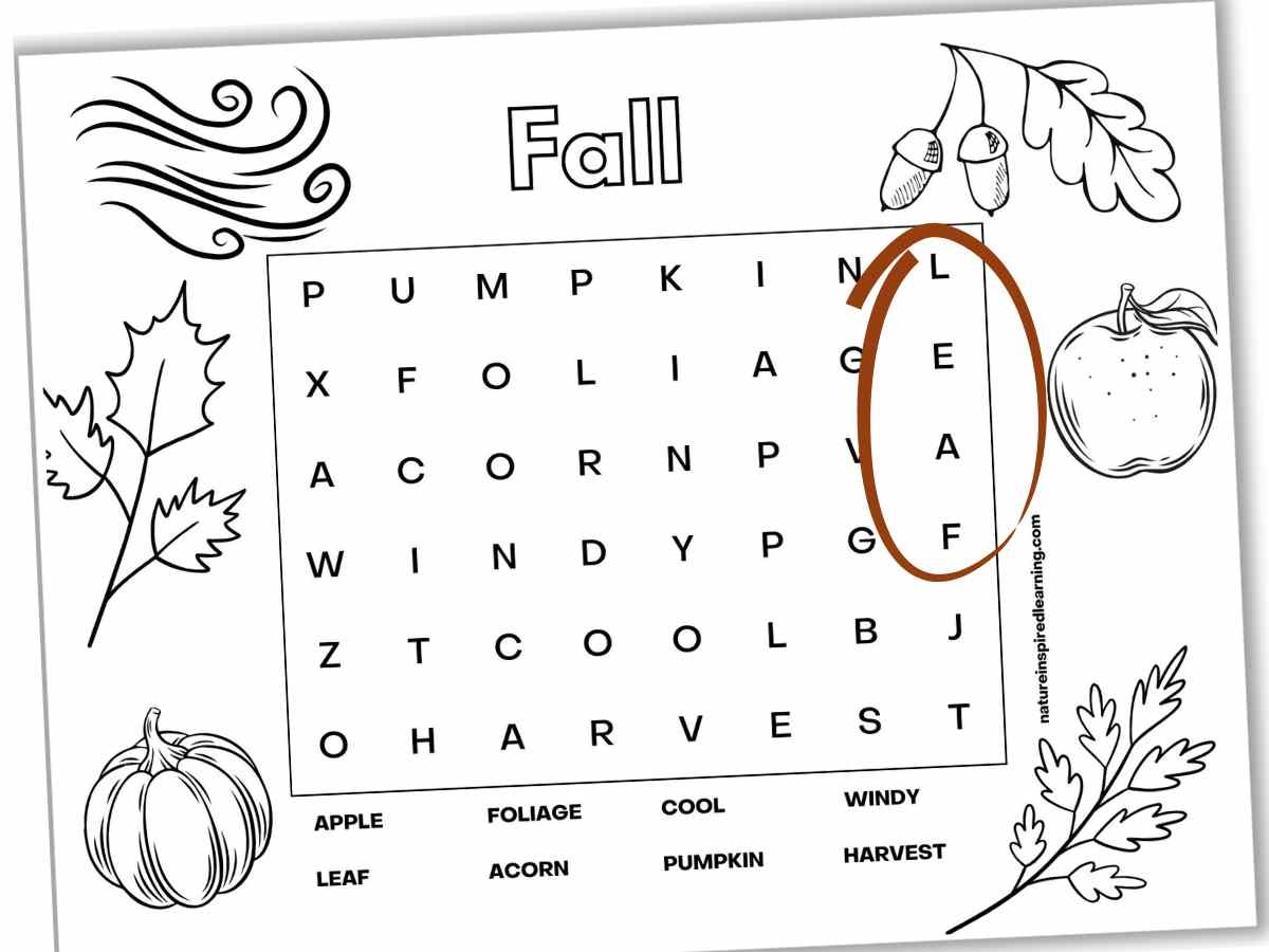 Easy Autumn Word Search Printable