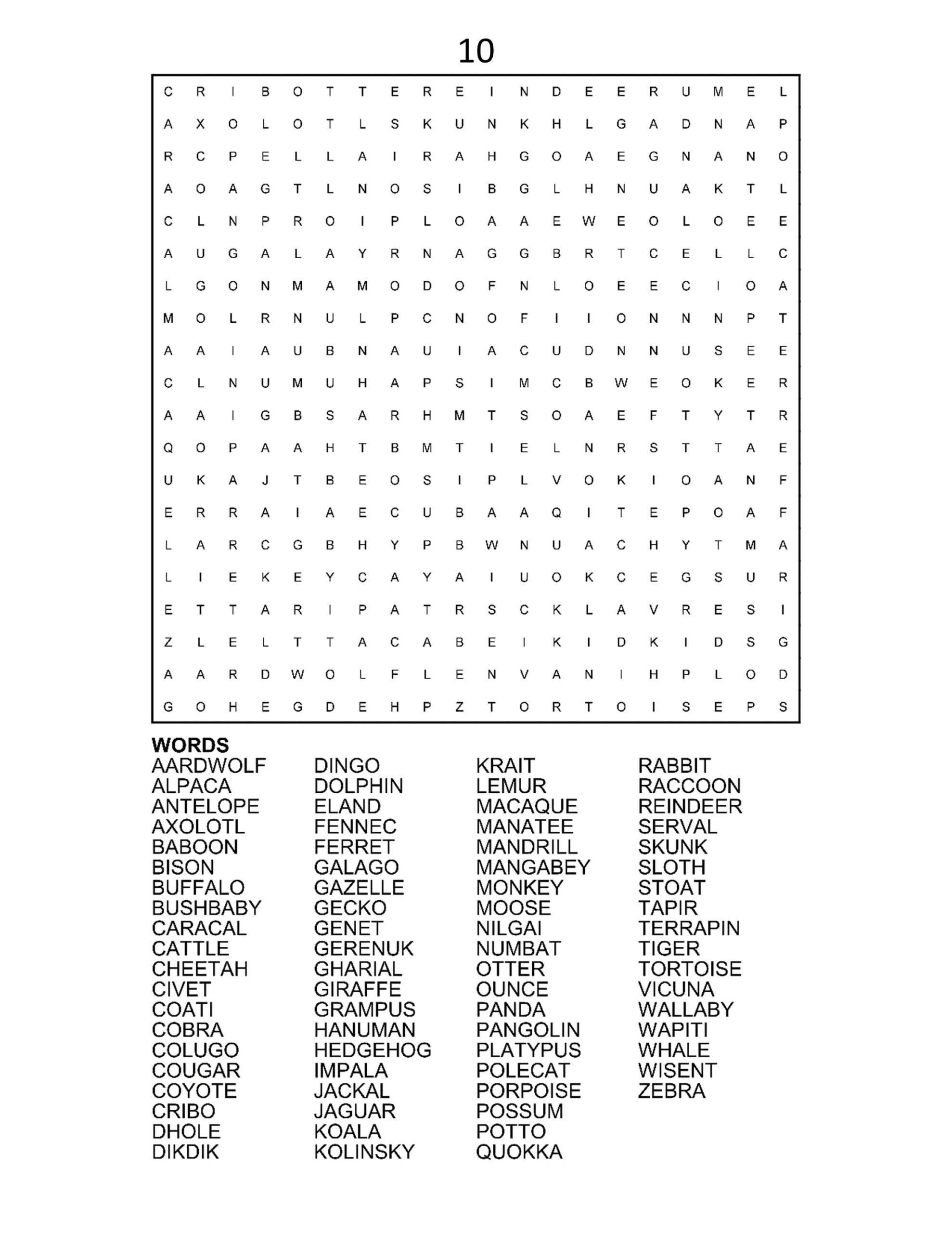 Big Word Search Puzzles Printable