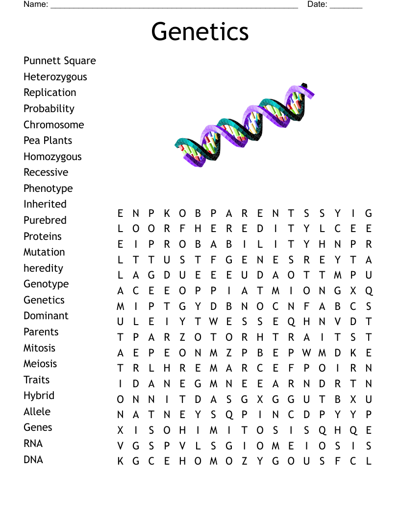 7th Grade Science Word Search WordMint