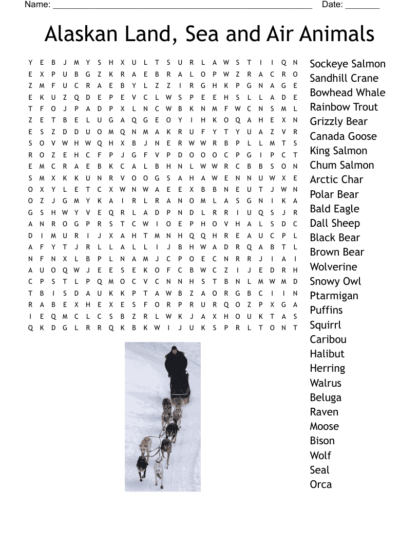 Alaskan Land Sea And Air Animals Word Search WordMint