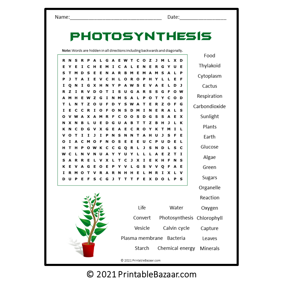 Free Printable Photosynthesis Word Search