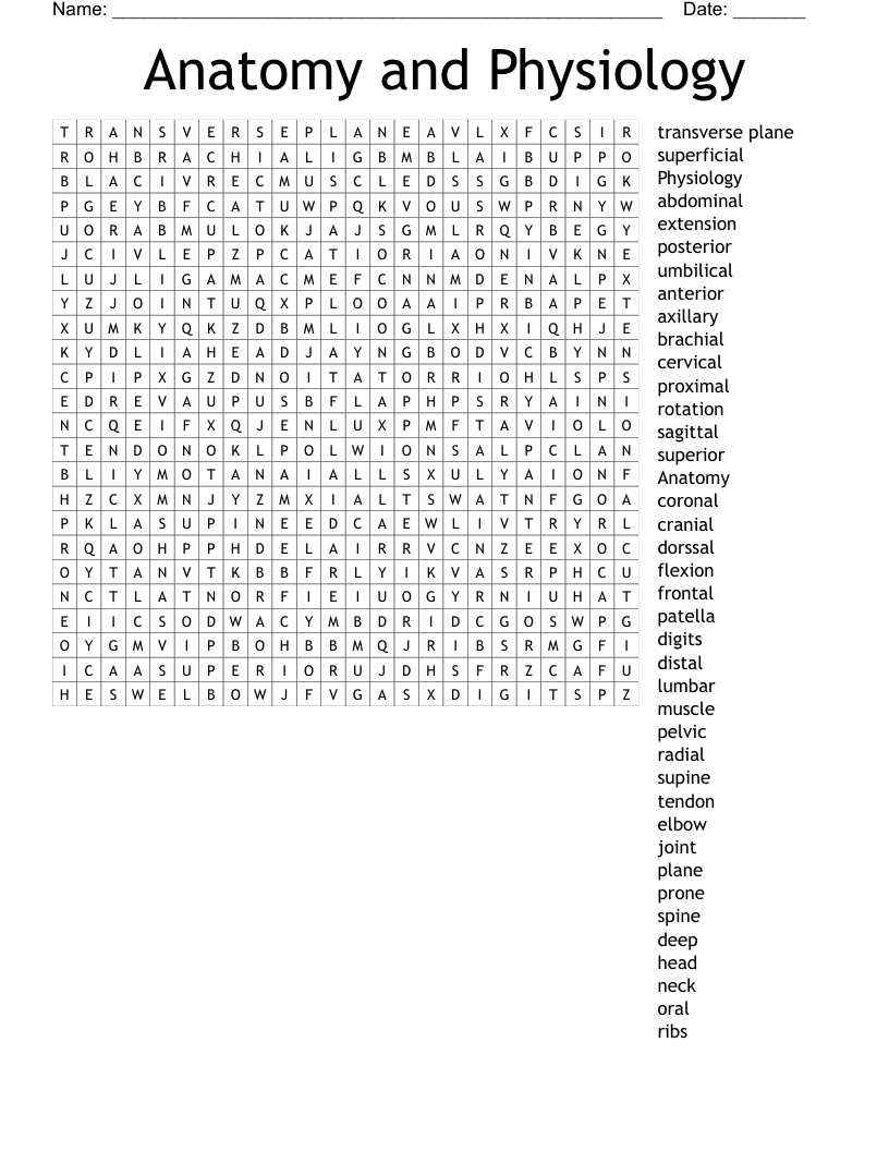 Anatomy And Physiology Word Search WordMint