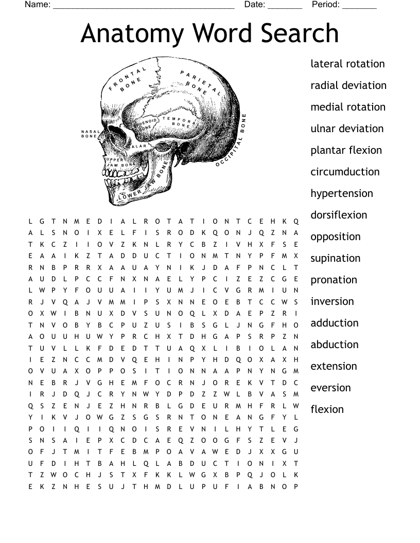 Anatomy Word Search WordMint Anatomy Word Search WordMint