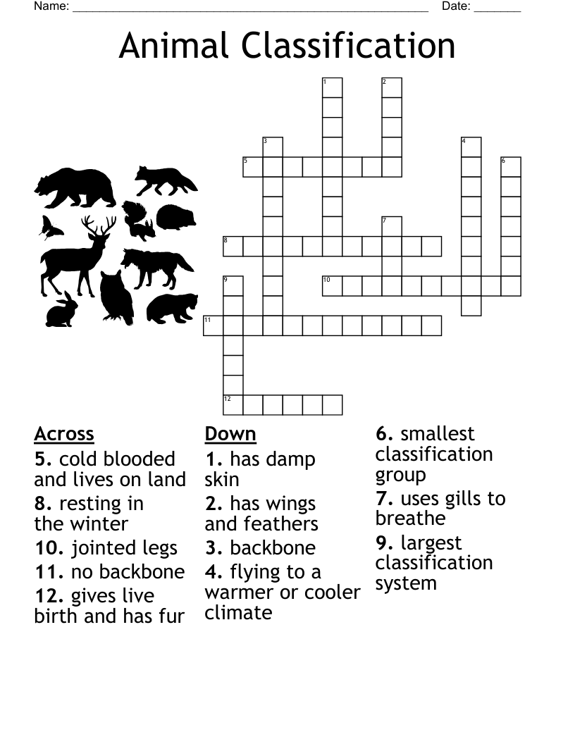 Animal Classification Vocabulary Word Search WordMint