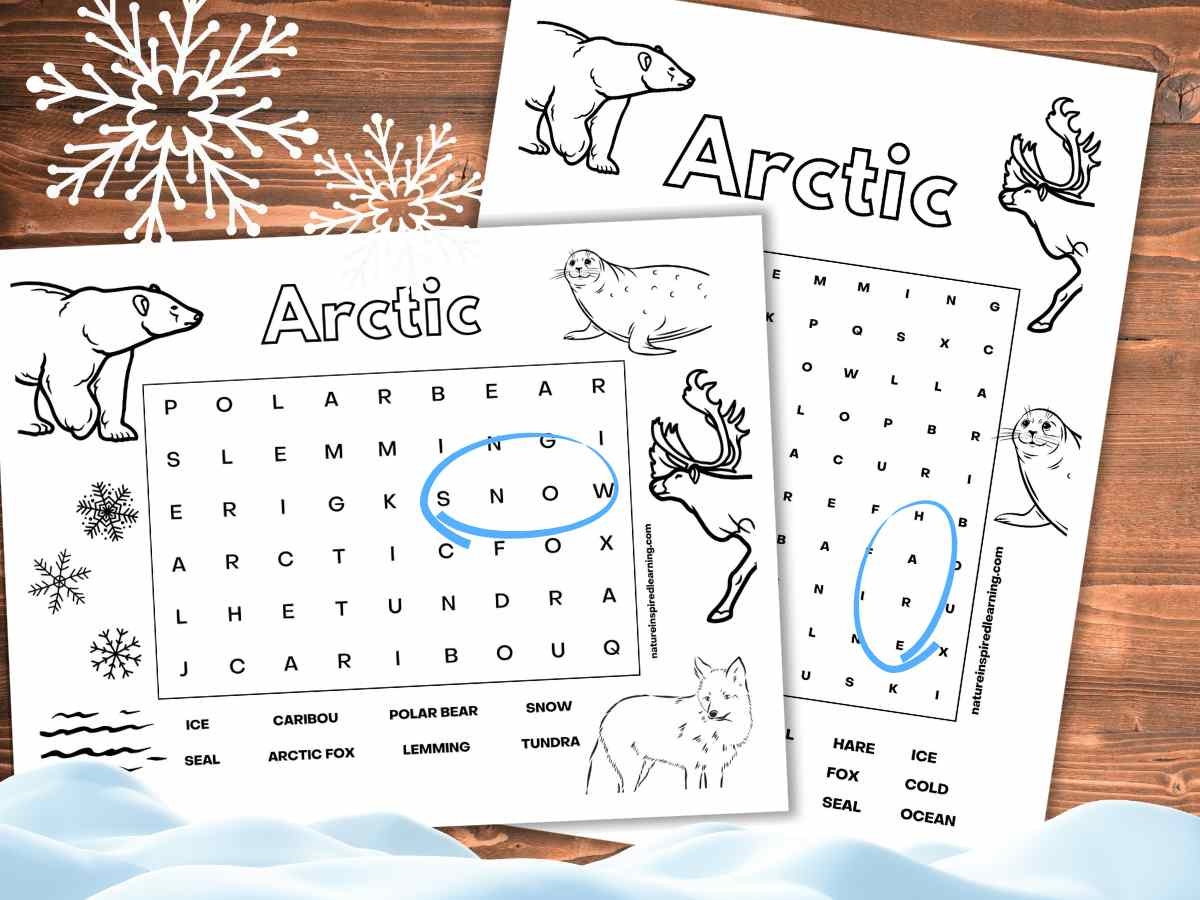 Arctic Word Searches Nature Inspired Learning