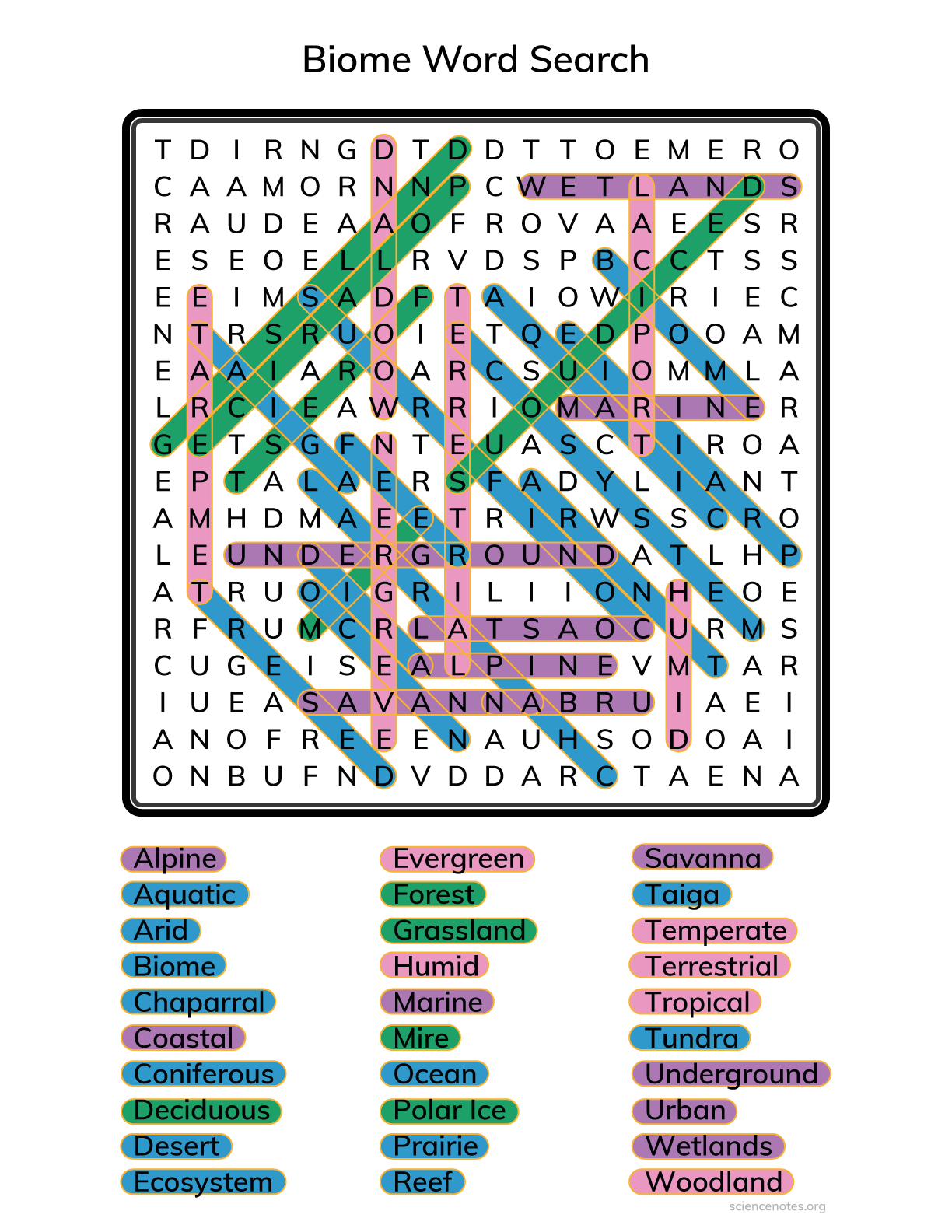 Biome Word Search