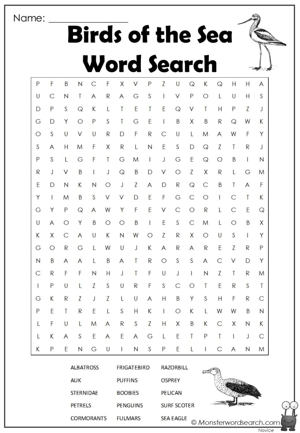 Bird Word Search Free Printable