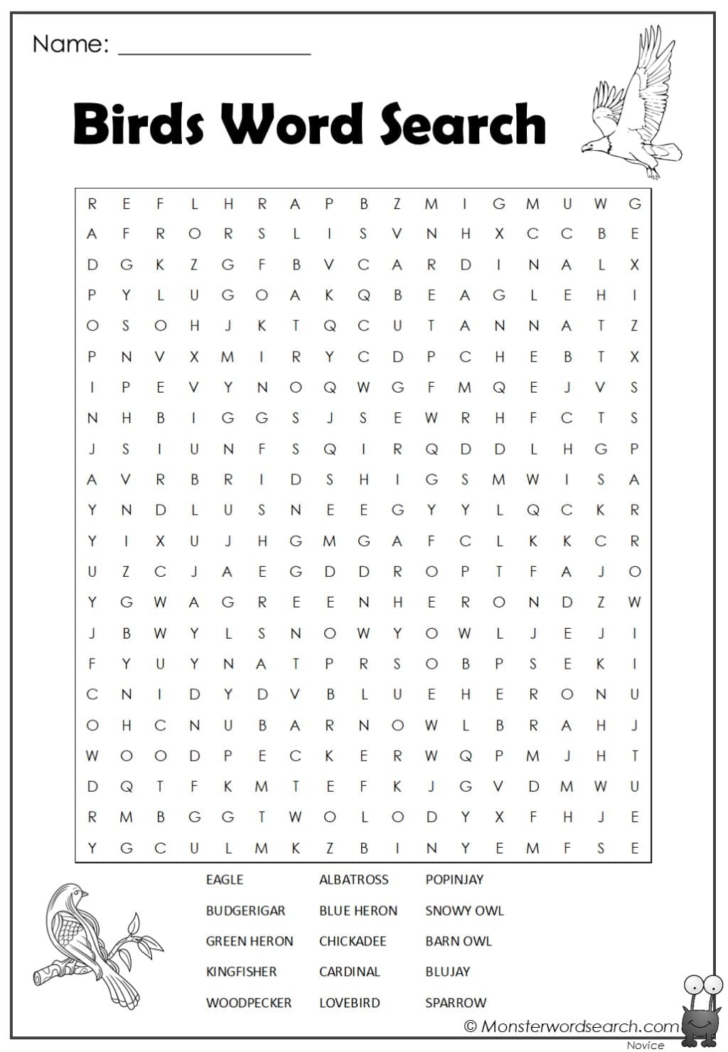 Birds Word Search Monster Word Search