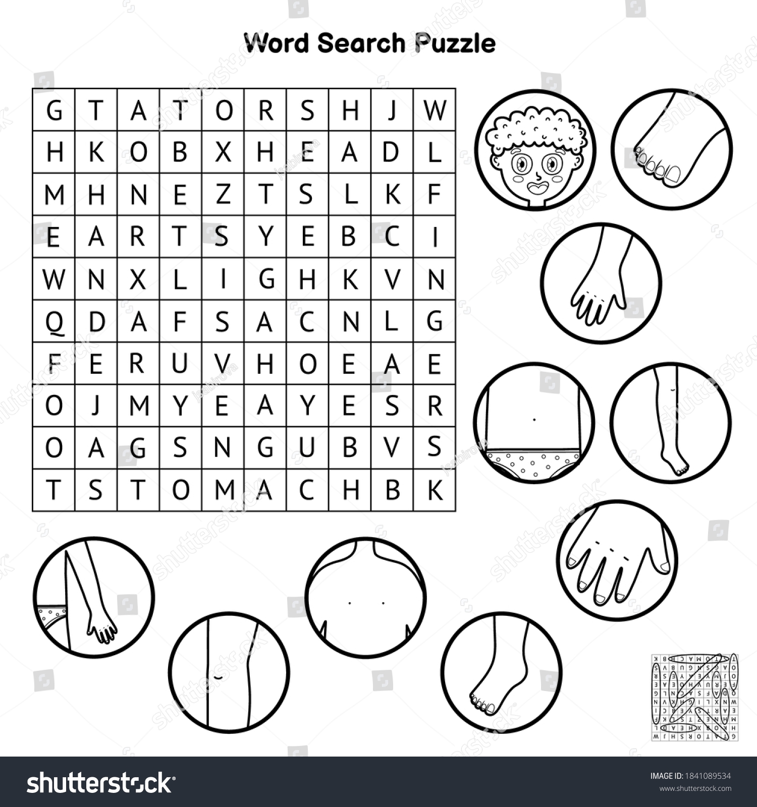 Body Parts Word Search Printable