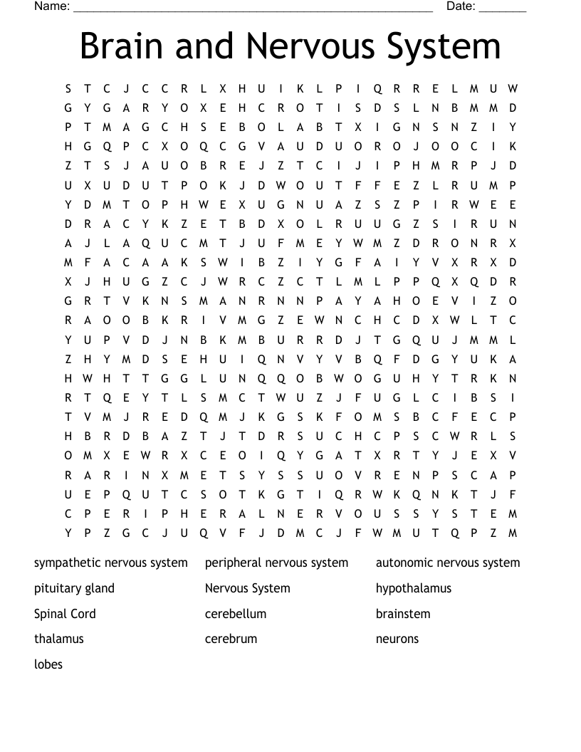 Brain And Nervous System Word Search WordMint Brain And Nervous System Word Search WordMint