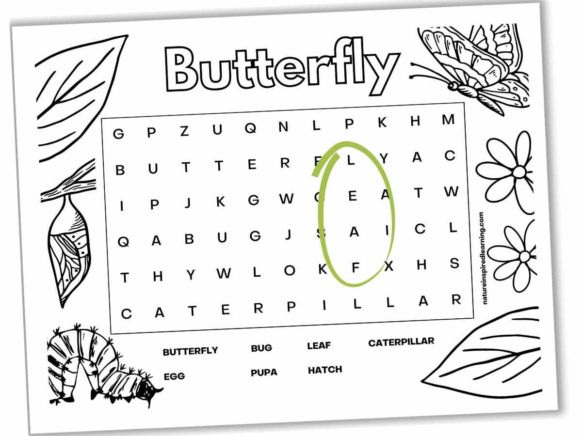 Butterfly Word Searches Nature Inspired Learning