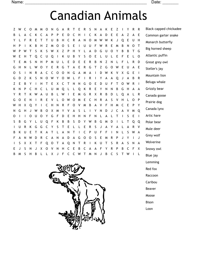 Canadian Word Search Printable