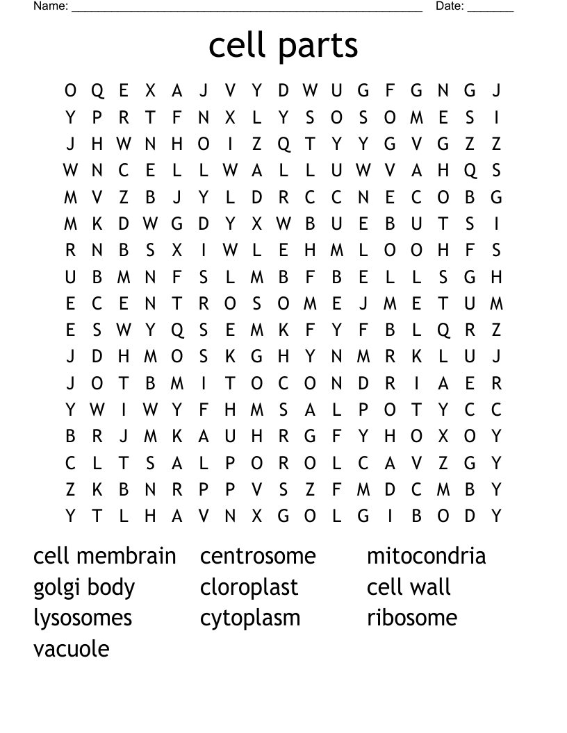 Cell Parts Word Search WordMint