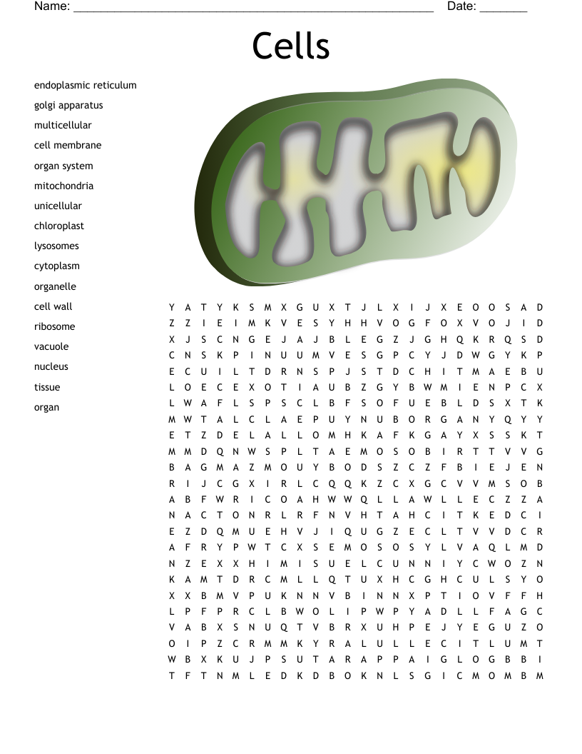 Cells Word Search WordMint