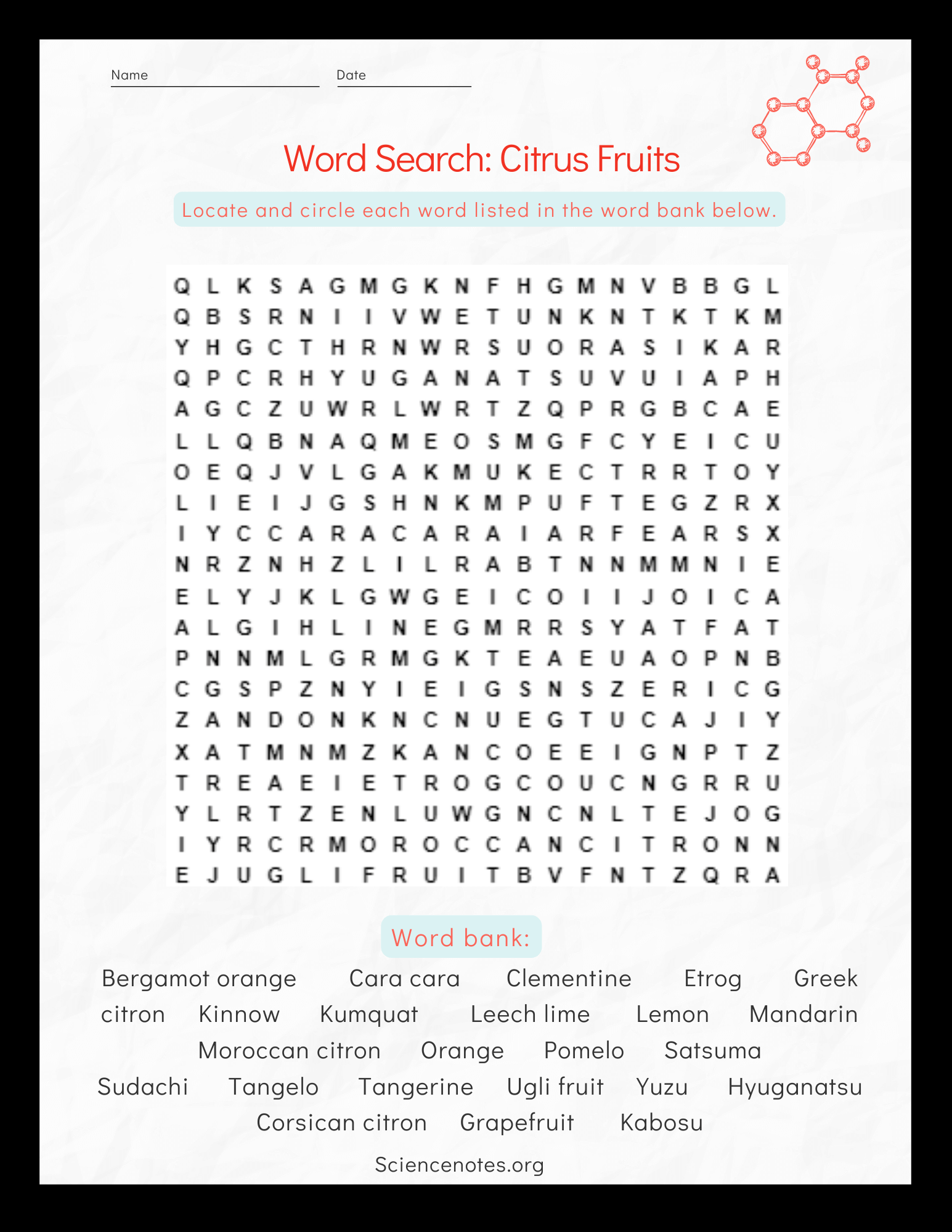Citrus Fruit Word Search Puzzle