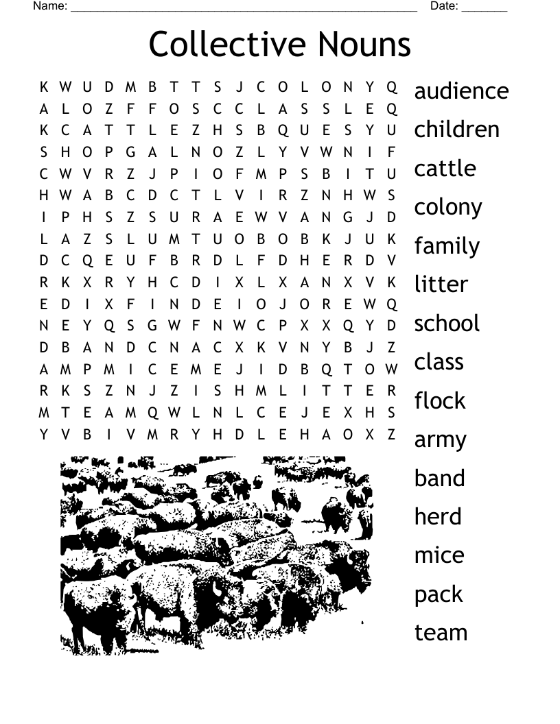 Collective Nouns Word Search WordMint