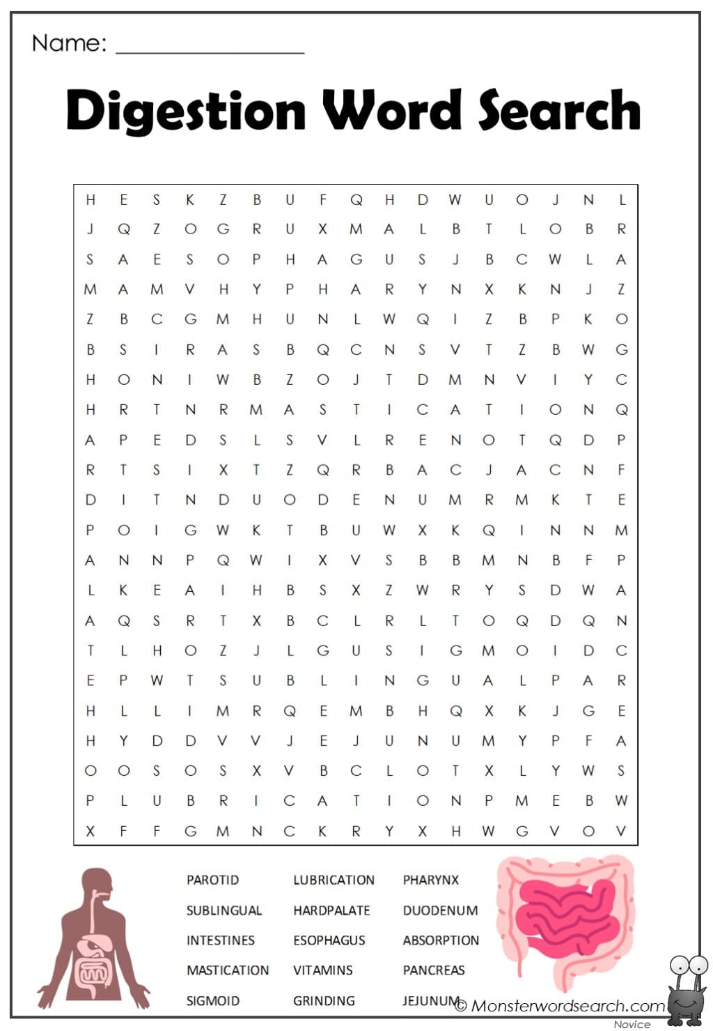 Digestion Word Search Monster Word Search