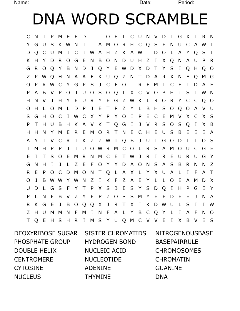 DNA Word Search WordMint