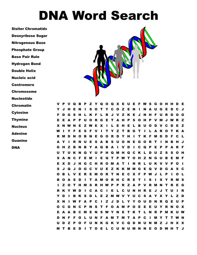 DNA Word Search WordMint