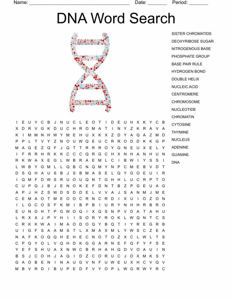 DNA Word Search WordMint