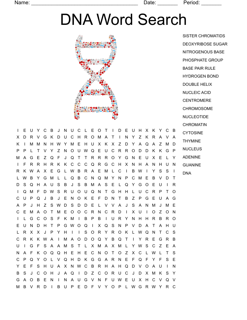 DNA Word Search WordMint