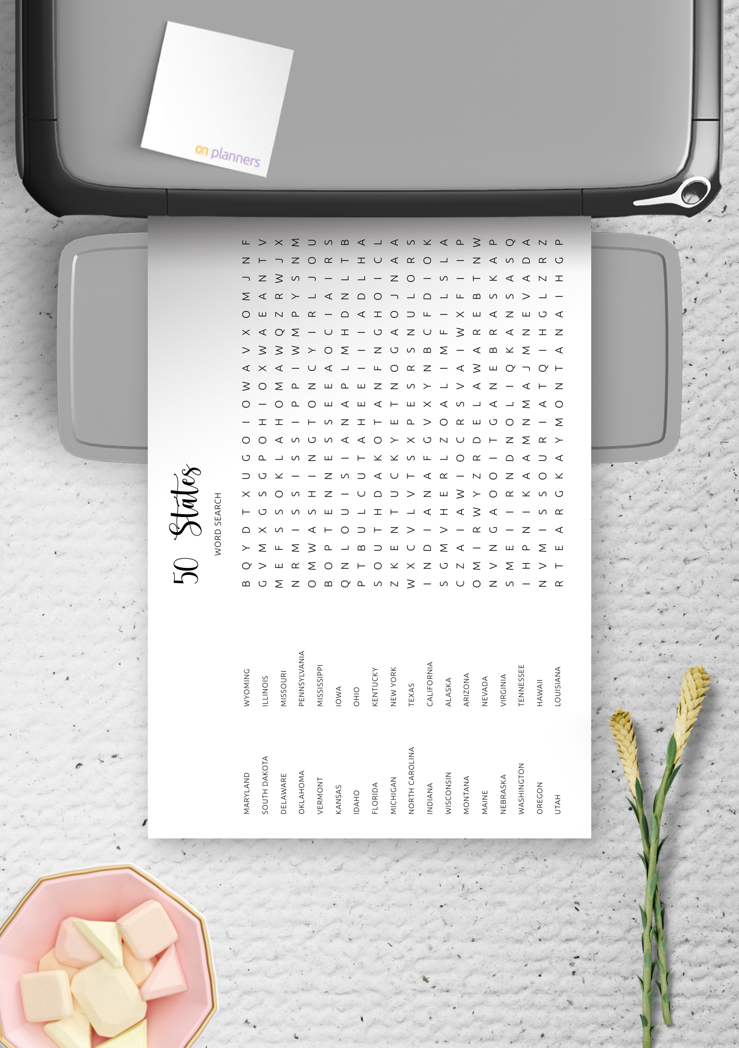 Download Printable 50 States Word Search In PDF