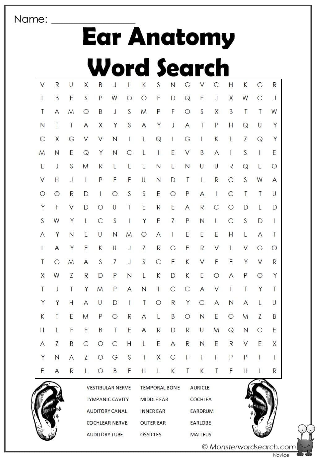 Ear Anatomy Word Search Monster Word Search Ear Anatomy Word Search Monster Word Search