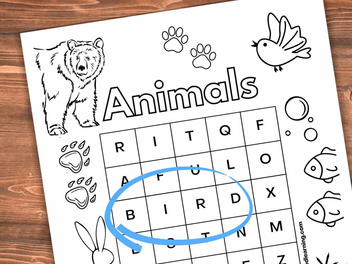 Free Pre-K Word Search Printables