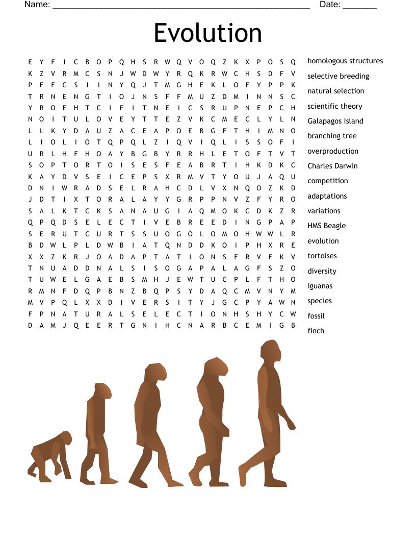 Evolution Word Search WordMint