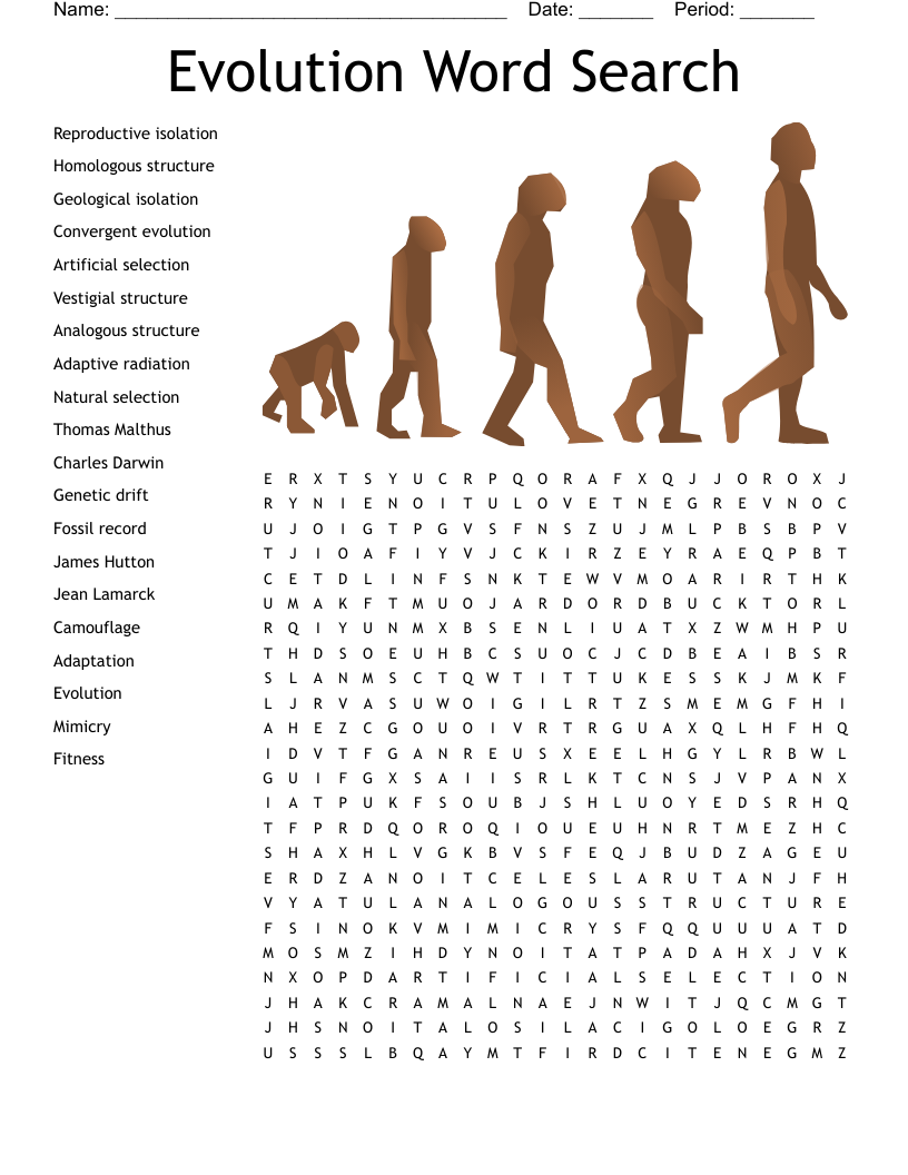 Evolution Word Search WordMint