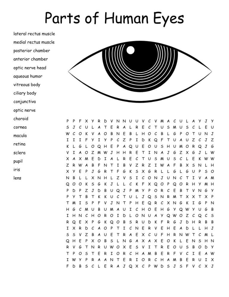 EYES Word Search WordMint