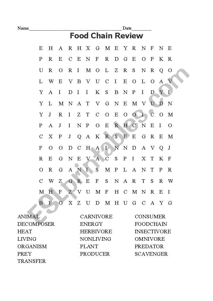 Food Chain Word Search Free Printable