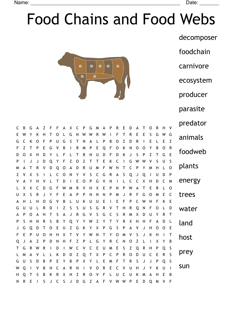 Food Chain Word Search WordMint
