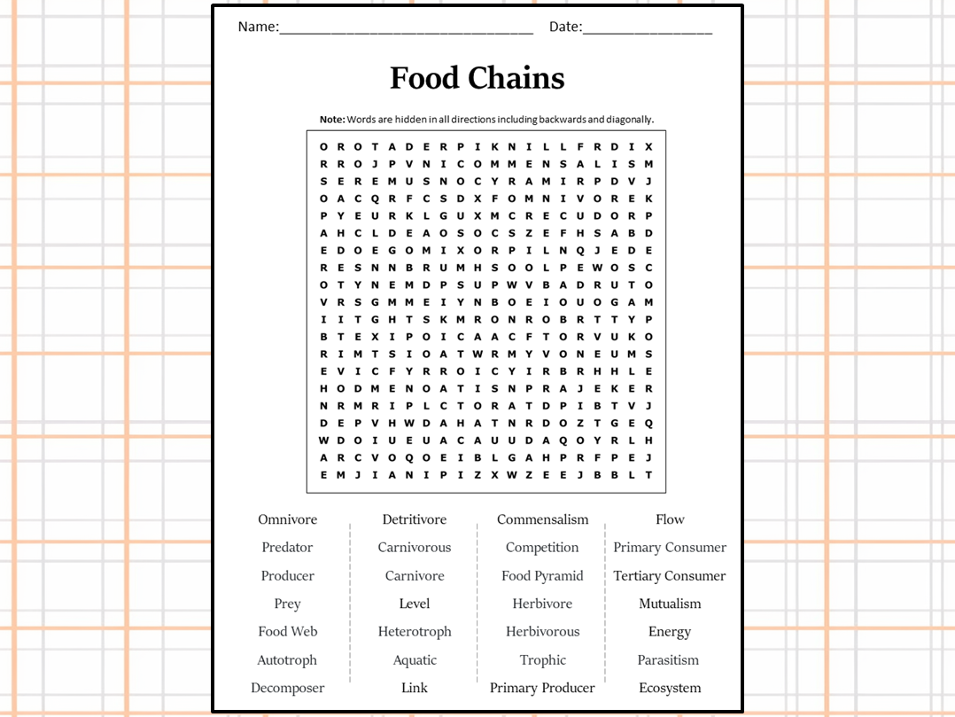 Free Printable Food Chain Word Search
