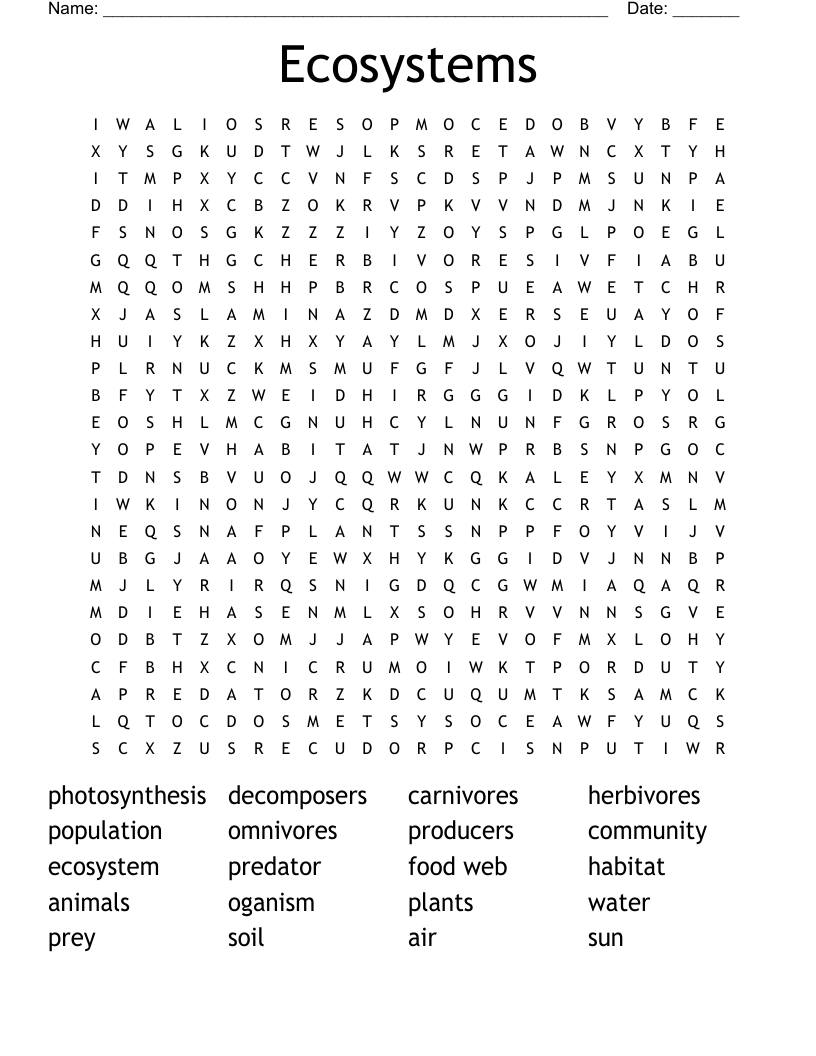 Food Web Word Search Printable