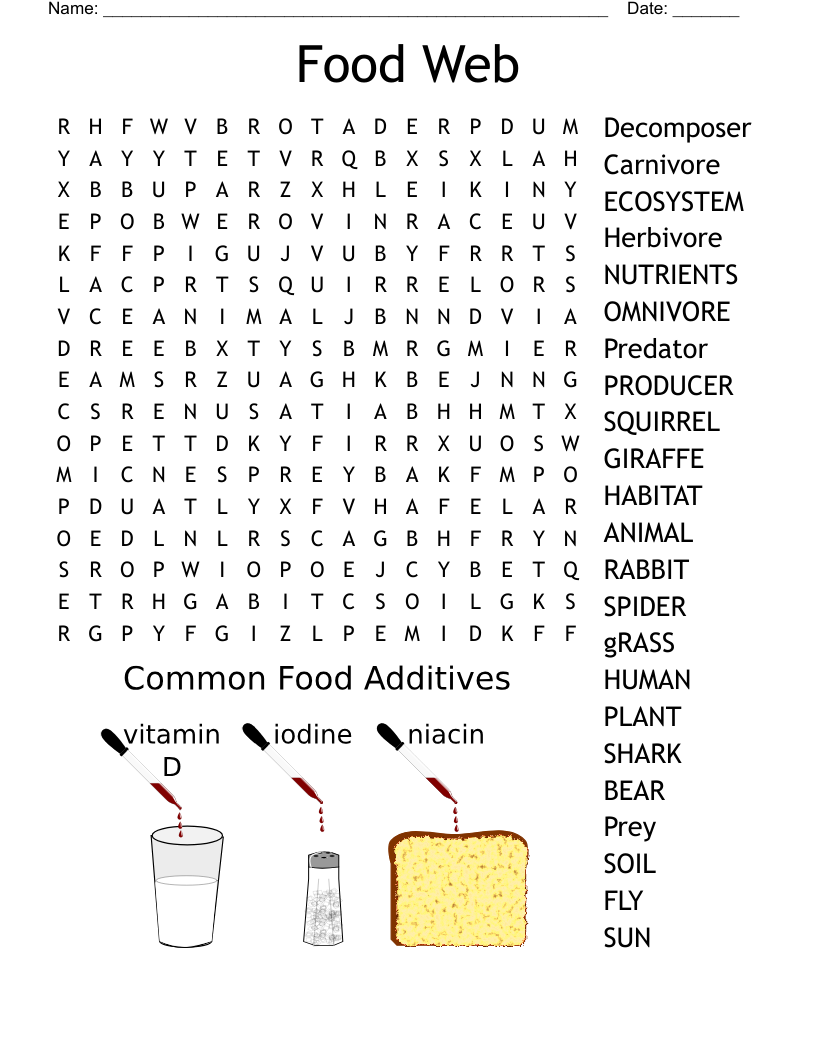 Food Web Word Search WordMint