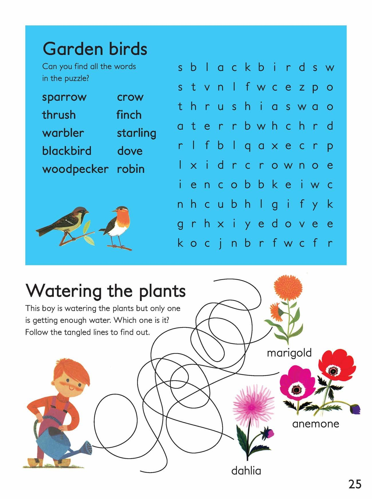Wildlife Printable Bird Word Search