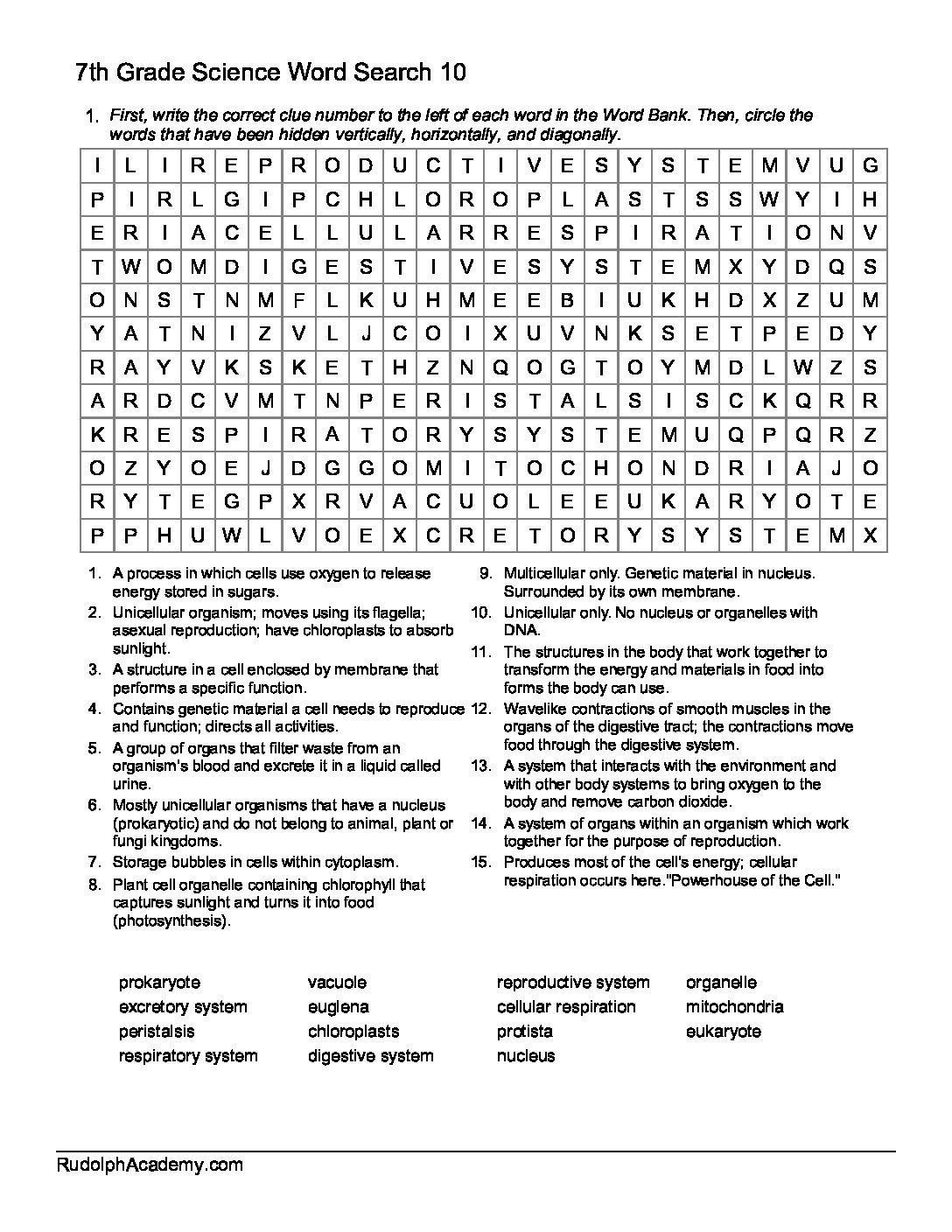 7th Grade Science Word Search Printable