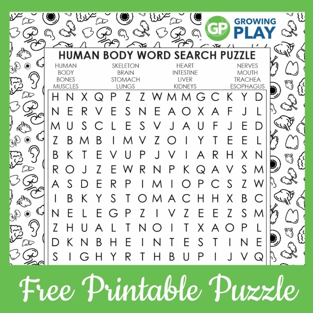 Human Body Word Search Printable FREE Growing Play Worksheets Library