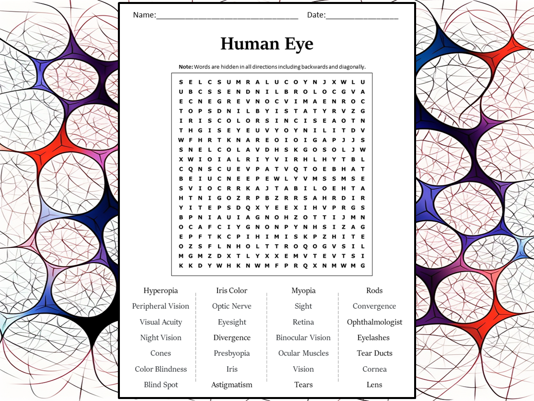 Human Eye Word Search Puzzle Worksheet Activity Teaching Resources Human Eye Word Search Puzzle Worksheet Activity Teaching Resources