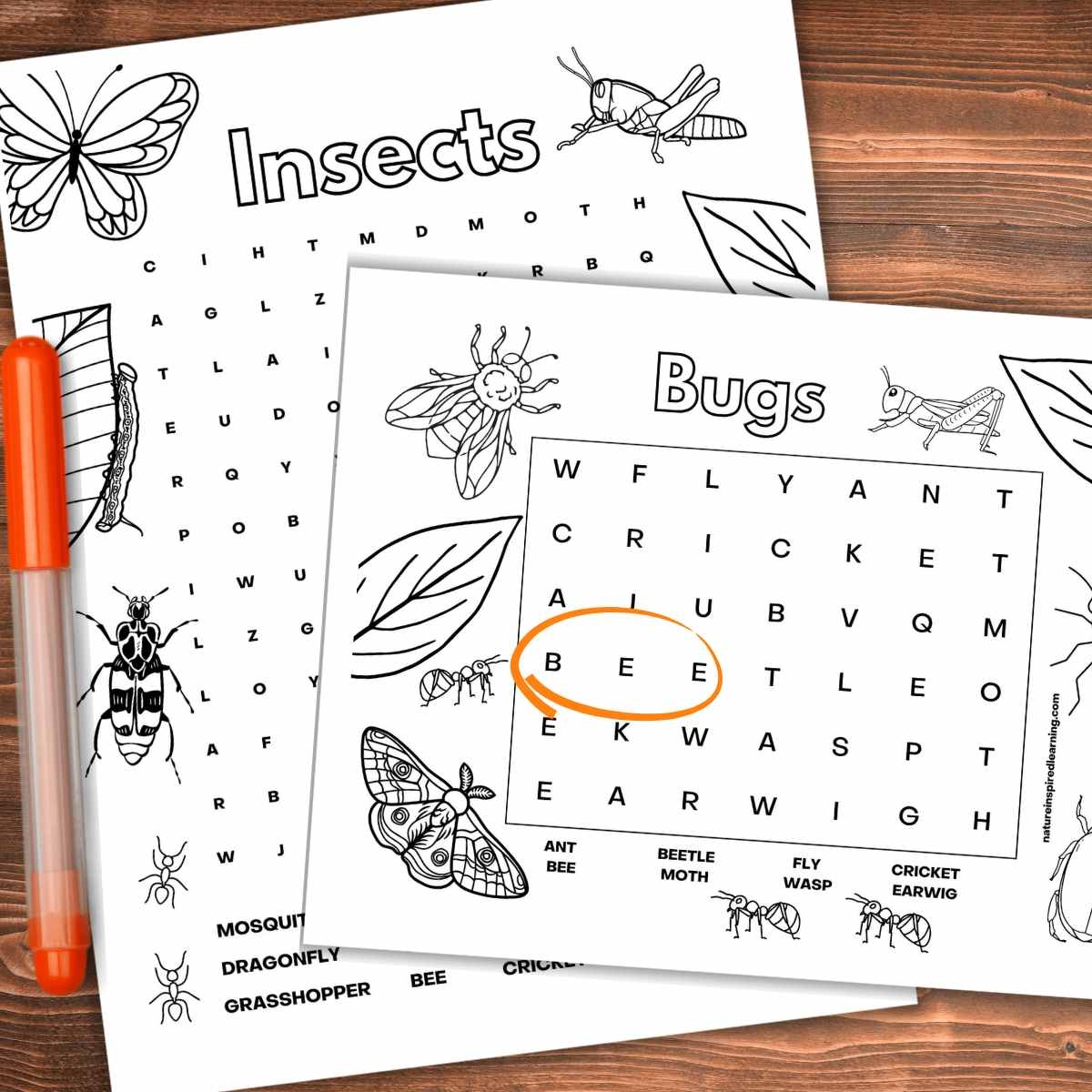 Insect Word Search Free Printable