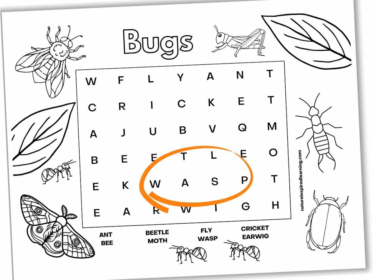 Insect Word Searches Nature Inspired Learning