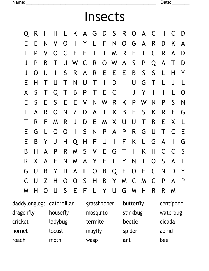 Insects Word Search WordMint