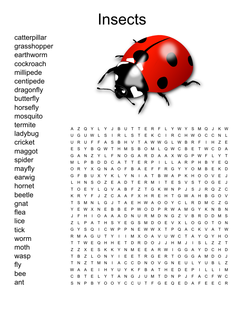 INSECTS Word Search WordMint