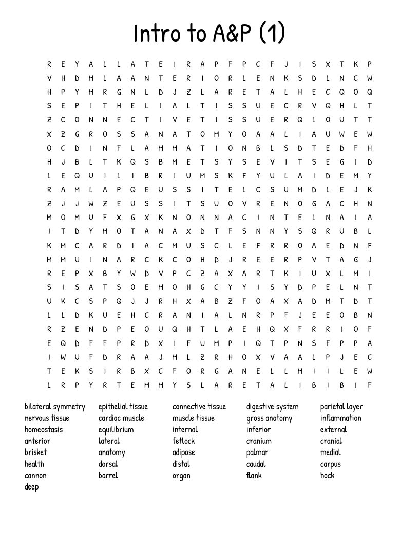 Intro To Au0026P 1 Word Search WordMint