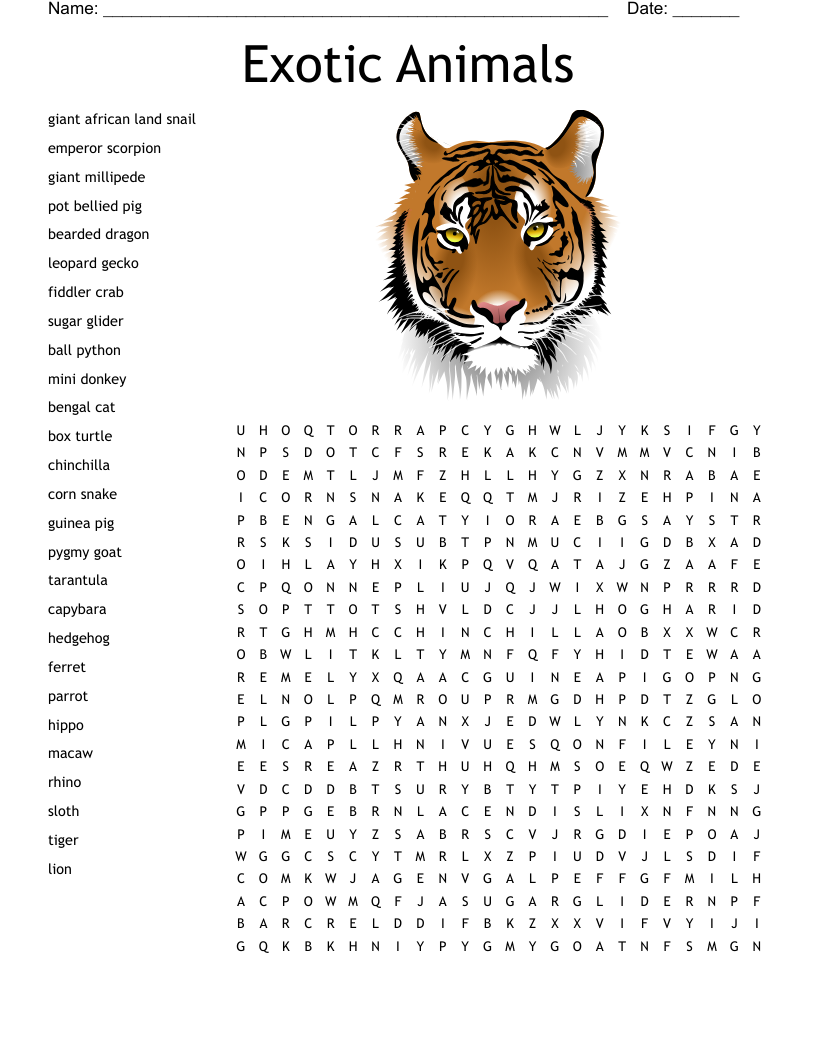Jungle Word Search WordMint