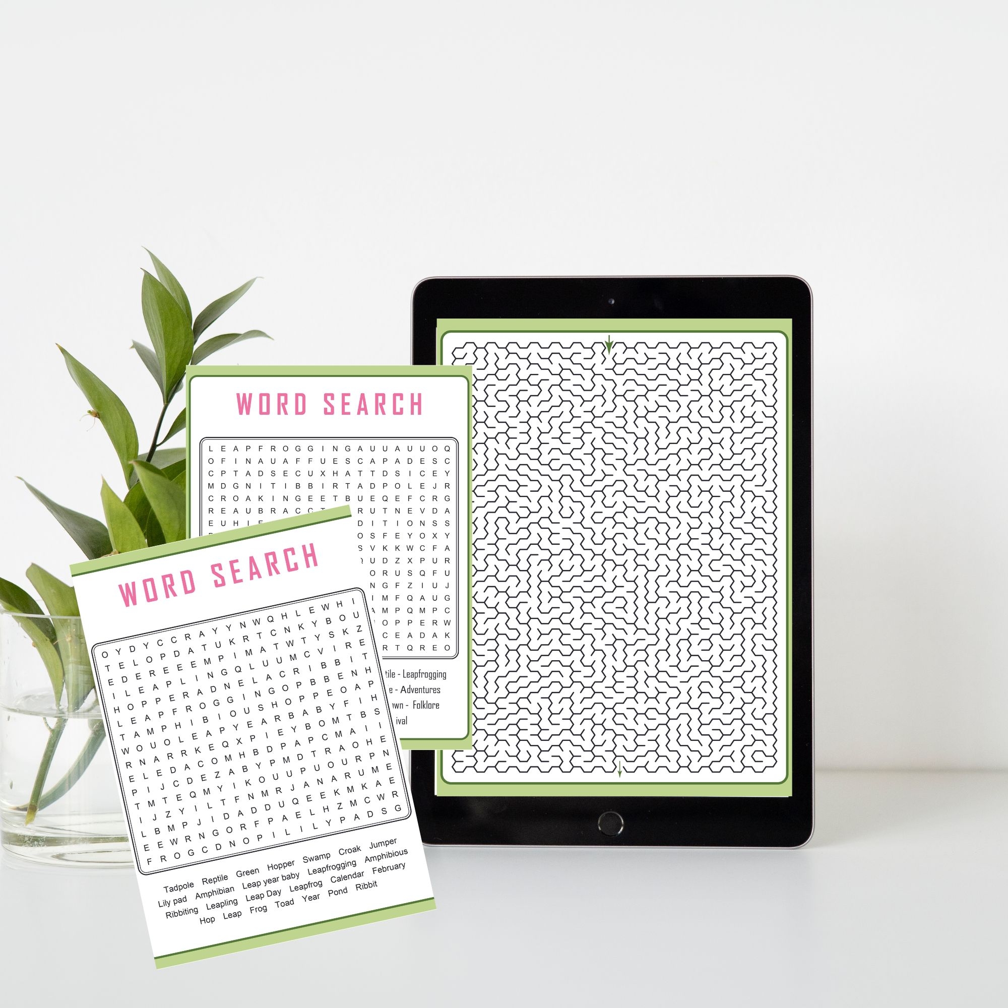 Leap Year Classroom Activities Spring Frog ABC Game Bundle Word Search Maze Teacha 