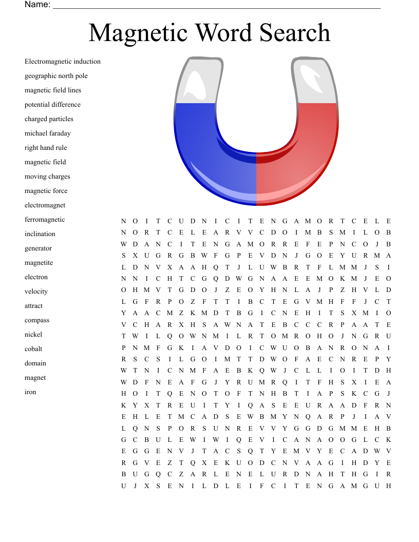 Magnetic Word Search WordMint