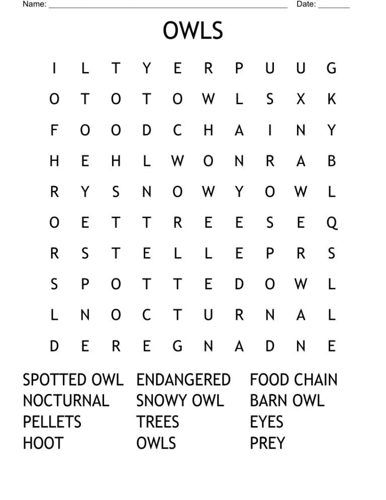 OWLS Word Search WordMint